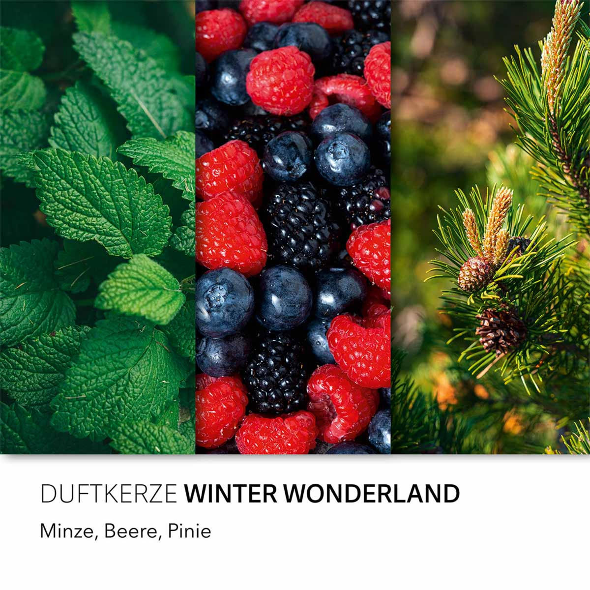 DUFTKERZE CandleBrothers - Multicolor, Naturmaterialien/Glas (14.5cm)