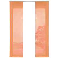 VORHANG 2ER SET HxB 245x60 cm Orange - Orange, Textil (60/245cm) - Gardinenbox
