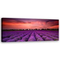 WANDBILD feld mit violetten blumen - Lila, Textil (90/30cm) - Feeby