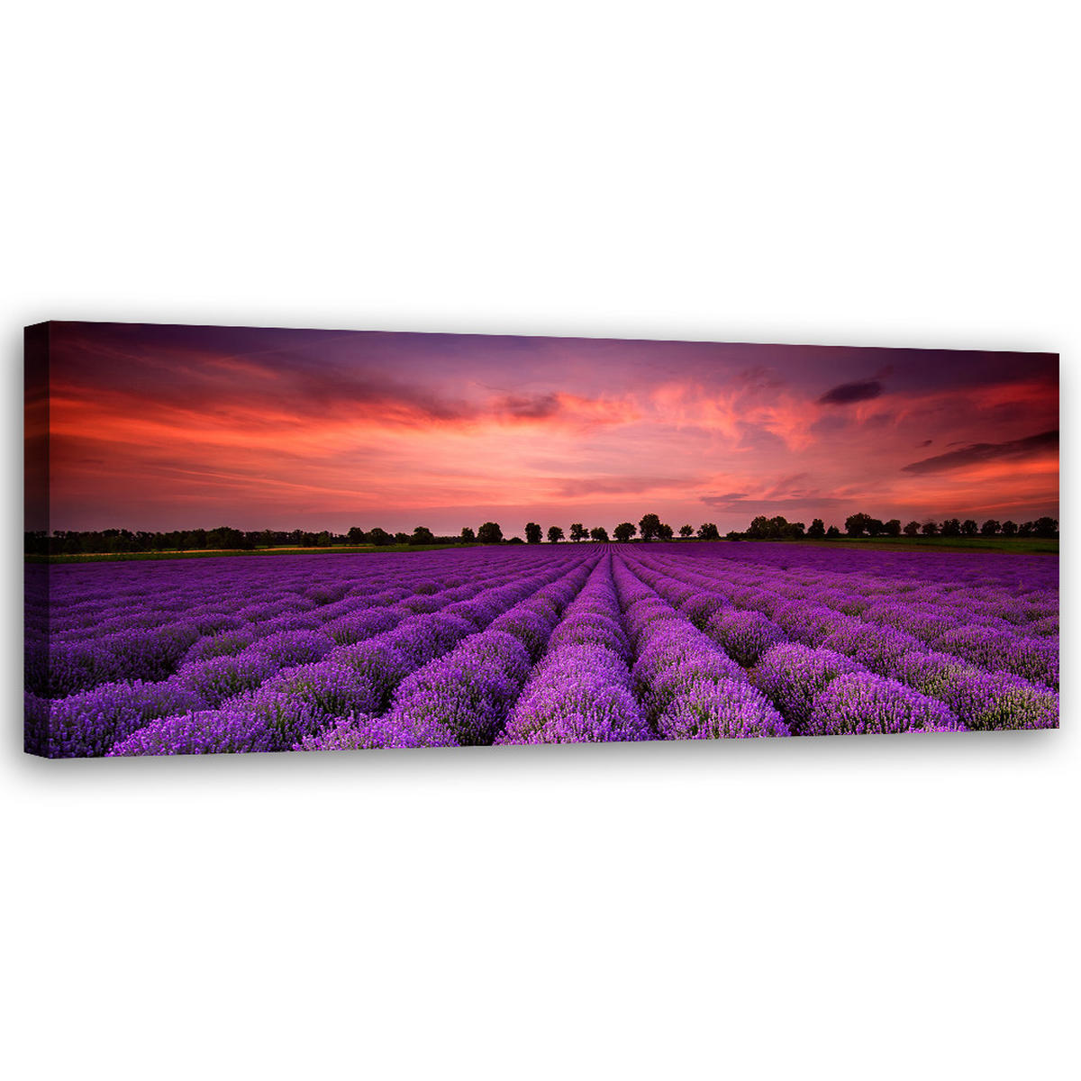 WANDBILD feld mit violetten blumen - Lila, Textil (90/30cm) - Feeby