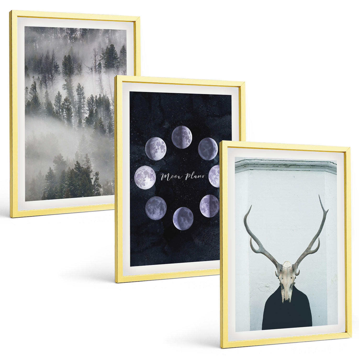 BILDER SET 3er Set - 40x60 cm Goldrahmen - Waldlandschaft, Nebel, Mond, Hirschschädel - Goldfarben, Kunststoff (40/60cm) - TULUP