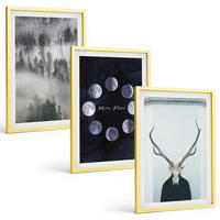 BILDER SET 3er Set - 40x60 cm Goldrahmen - Waldlandschaft, Nebel, Mond, Hirschschädel - Goldfarben, Kunststoff (40/60cm) - TULUP