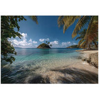 FOTOTAPETE Strand Palmen Blau 350x250 cm - Multicolor, Papier (350/250cm) - Wallarena