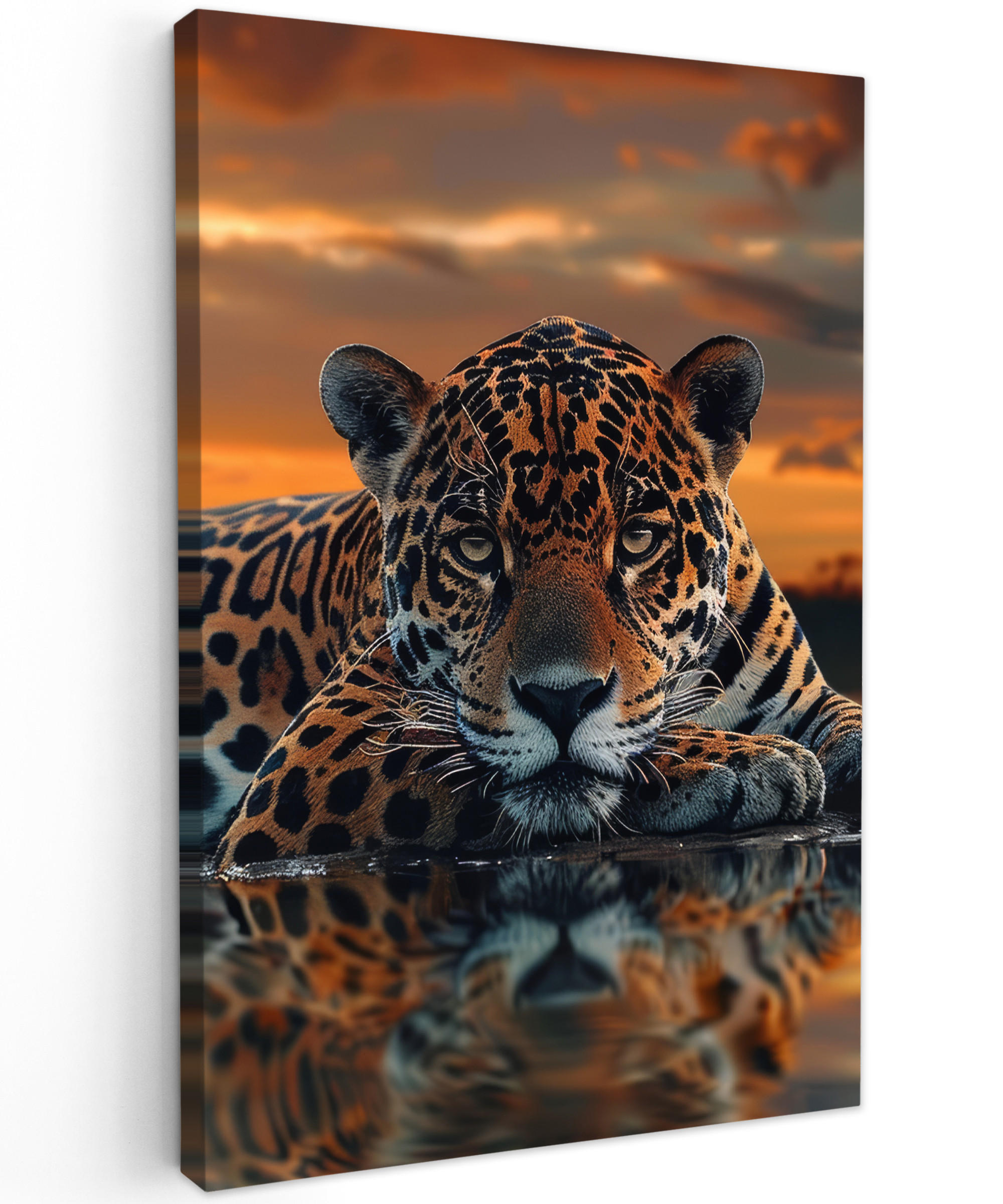 LEINWANDBILD Natur - Leopard - Tier - Sonnenuntergang - Modern 60x90 cm - Orange, Textil (60/90cm) - MuchoWow