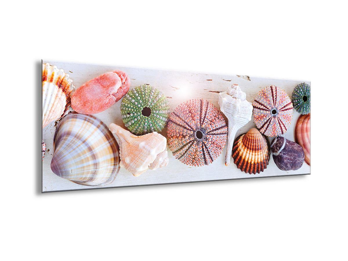 GLASBILD 80x30 cm Muscheln maritim - Gelb, Glas (80/30cm) - artissimo