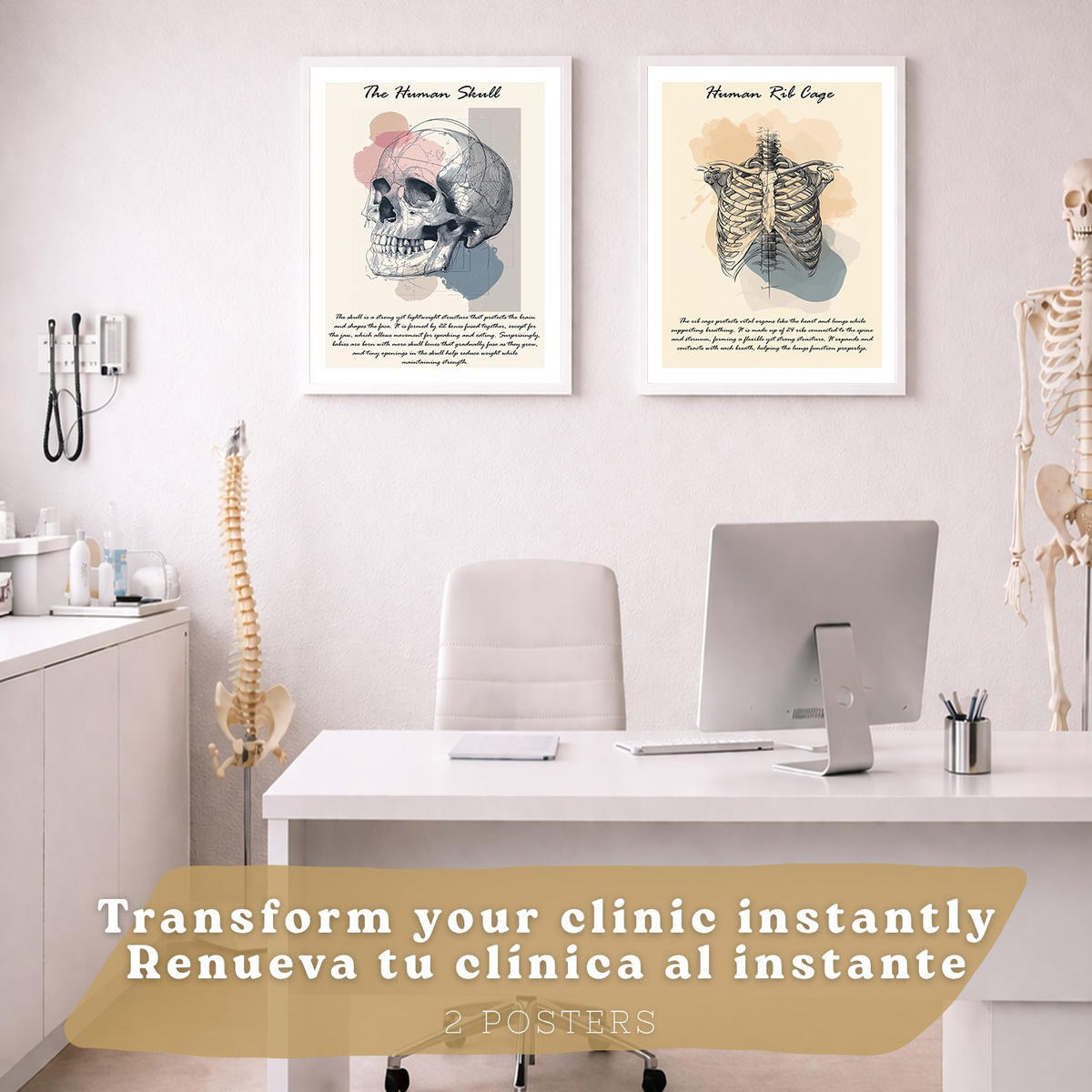 POSTER Set aus 2 Anatomie Mensch Lernposter Drucke und Wandbilder mit Skelett Rippen und Schädel Klinik Büro Dekoration Größe Weißer Rahmen A4 - Weiß, Papier (21/29.7/3cm) - Nacnic