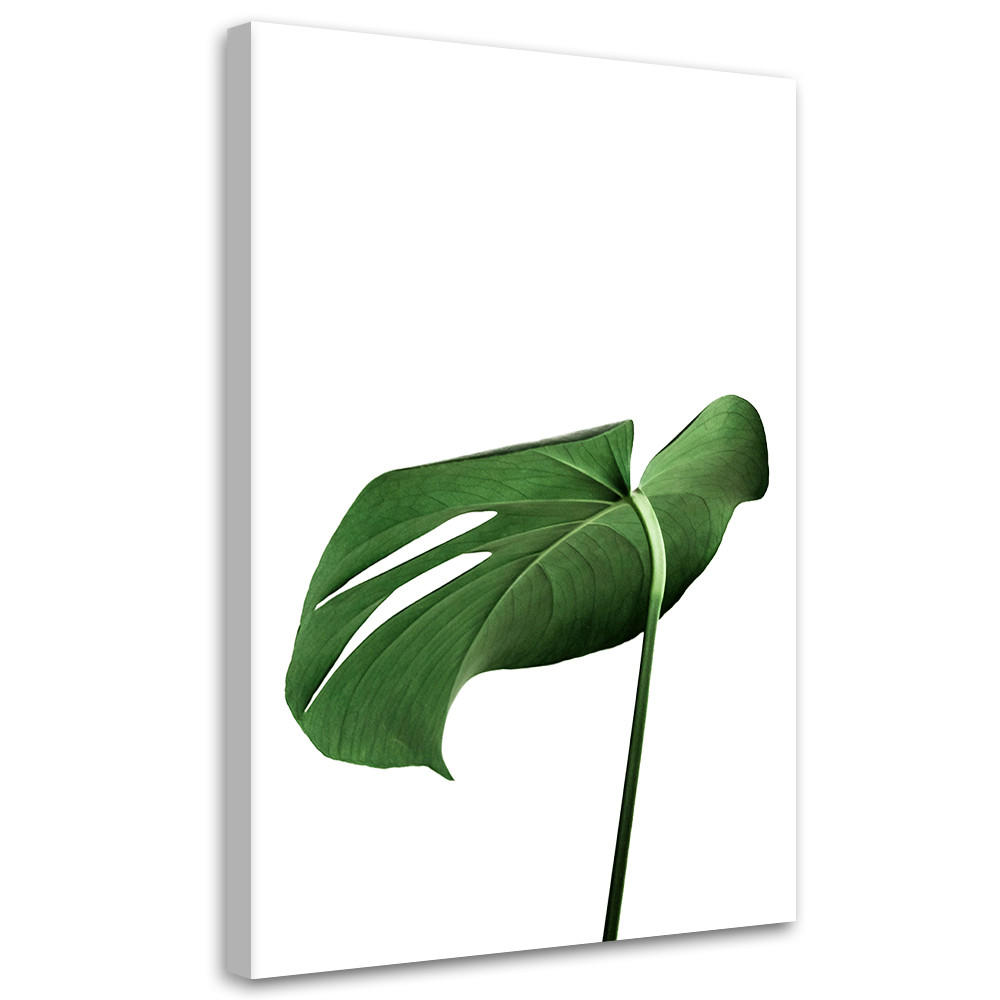 WANDBILD monstera blatt pflanze - Grün, Textil (40/60cm) - Feeby