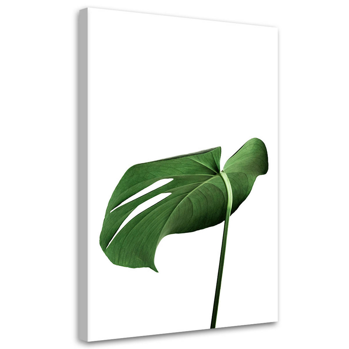 WANDBILD monstera blatt pflanze - Grün, Textil (40/60cm) - Feeby