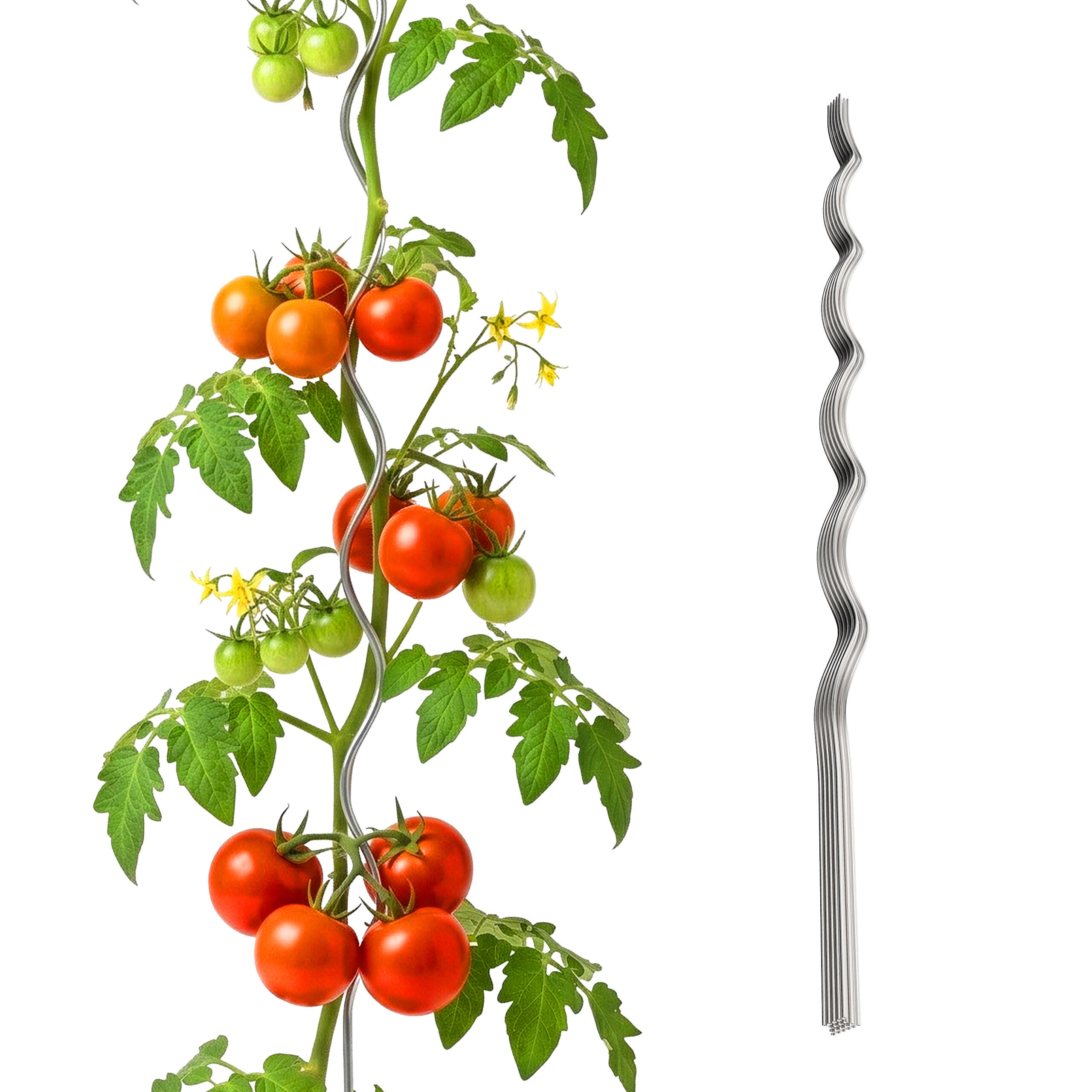TOMATENSTAB Silber 20er-Set Spiral - Silberfarben, Metall (0.5cm) - Relaxdays