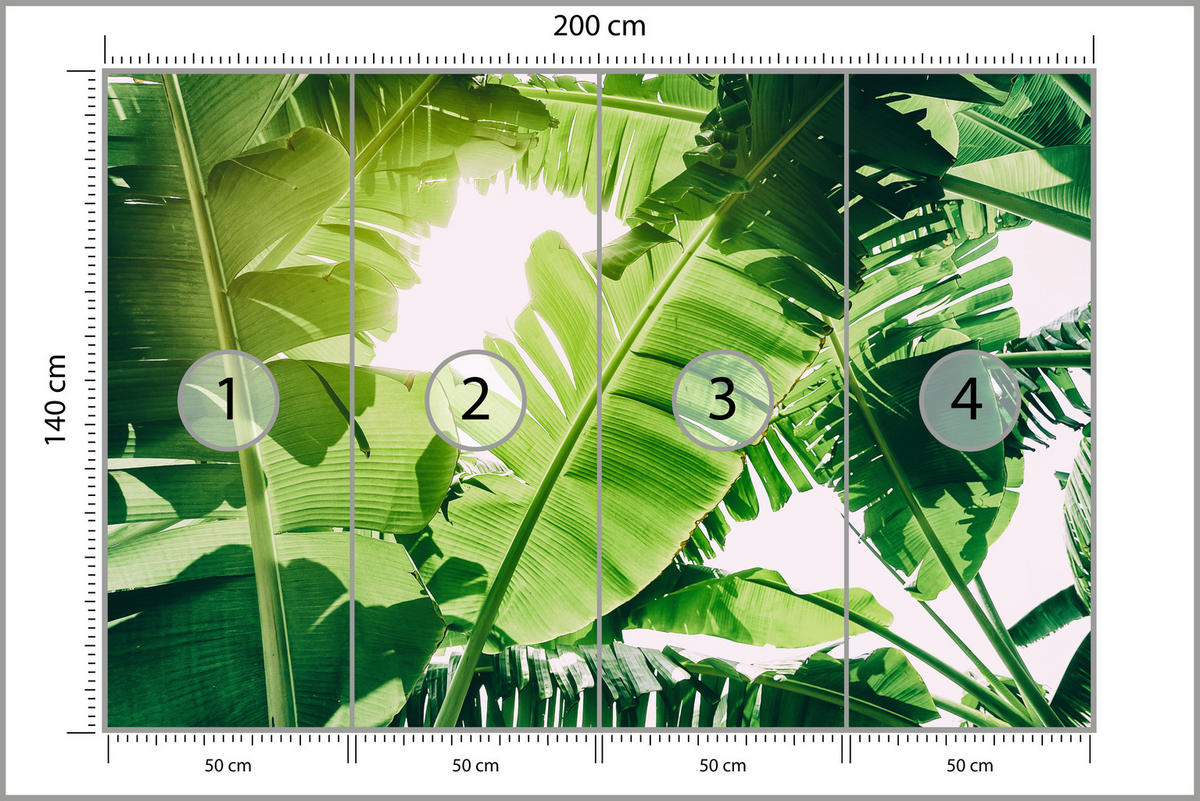 FOTOTAPETE für Wohnzimmer Bananenpflanze Grüne Blätter Tropisch 200x140 - Weiß/Grün, Papier (200/140cm) - Muralo