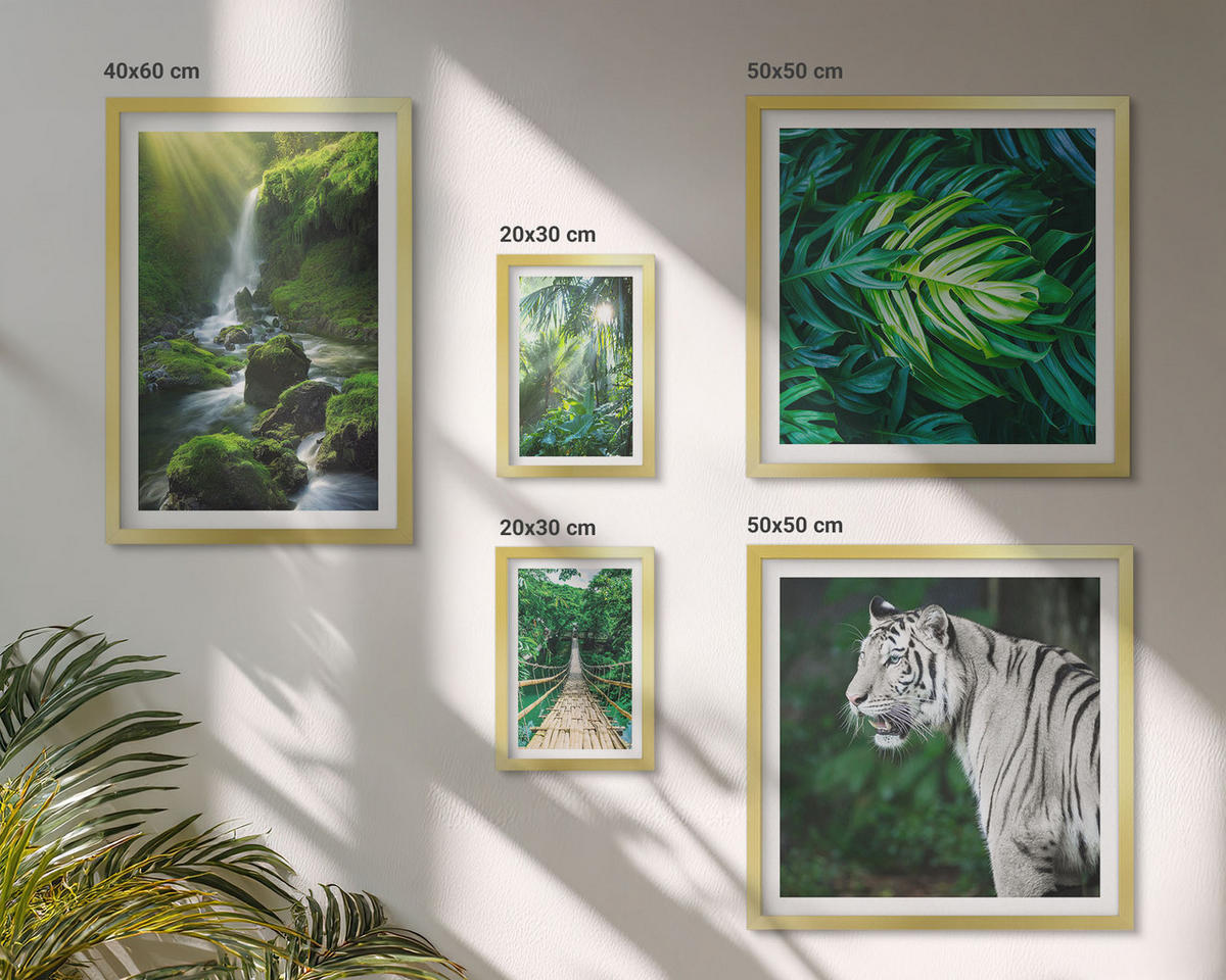 BILDER SET 5er Set - 50x50 cm & 20x30 cm & 40x60 cm Goldrahmen - Dschungel-Weißtiger-Wasserfall - Goldfarben, Kunststoff (40/60cm) - TULUP