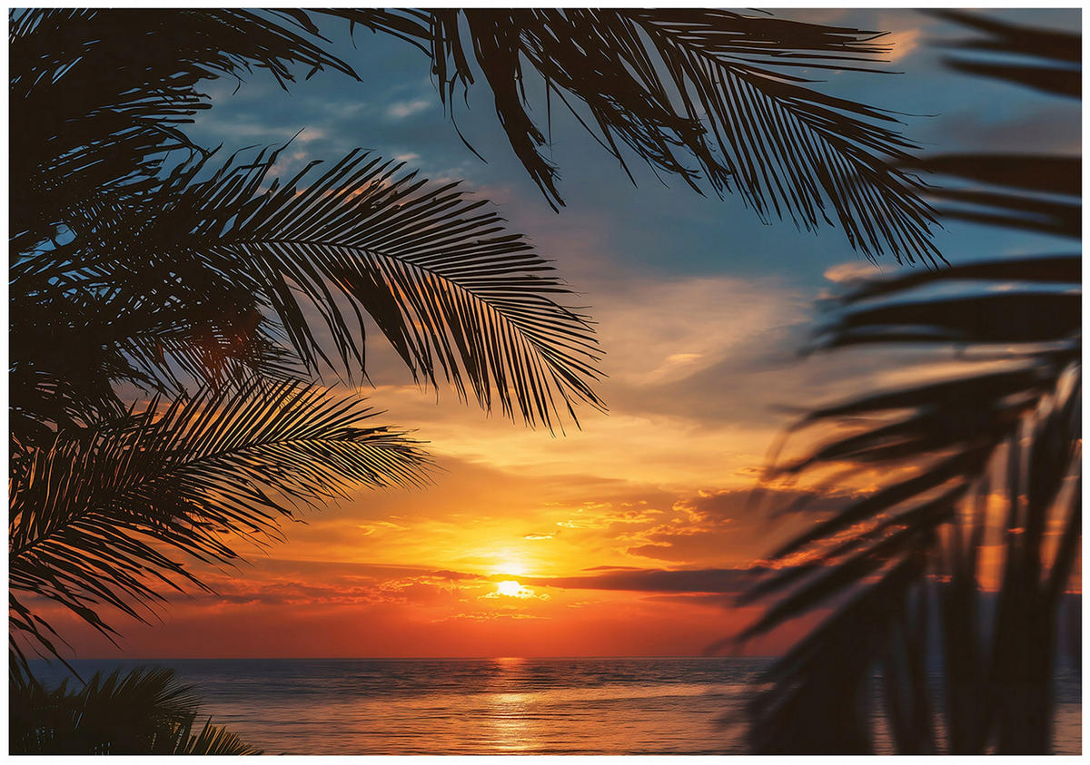 FOTOTAPETE Strand Palmen Orange 250x175 cm - Multicolor, Papier (250/175cm) - Wallarena