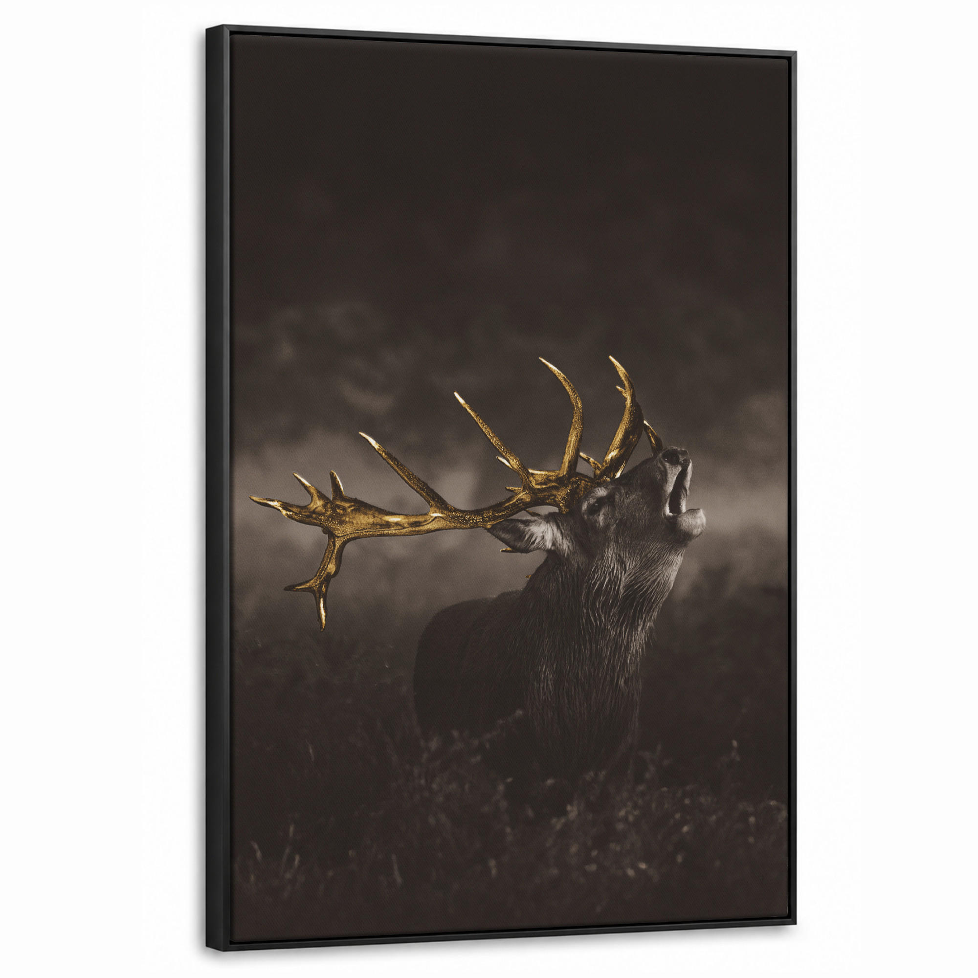 MuchoWow Leinwand Braun 60x90 cm