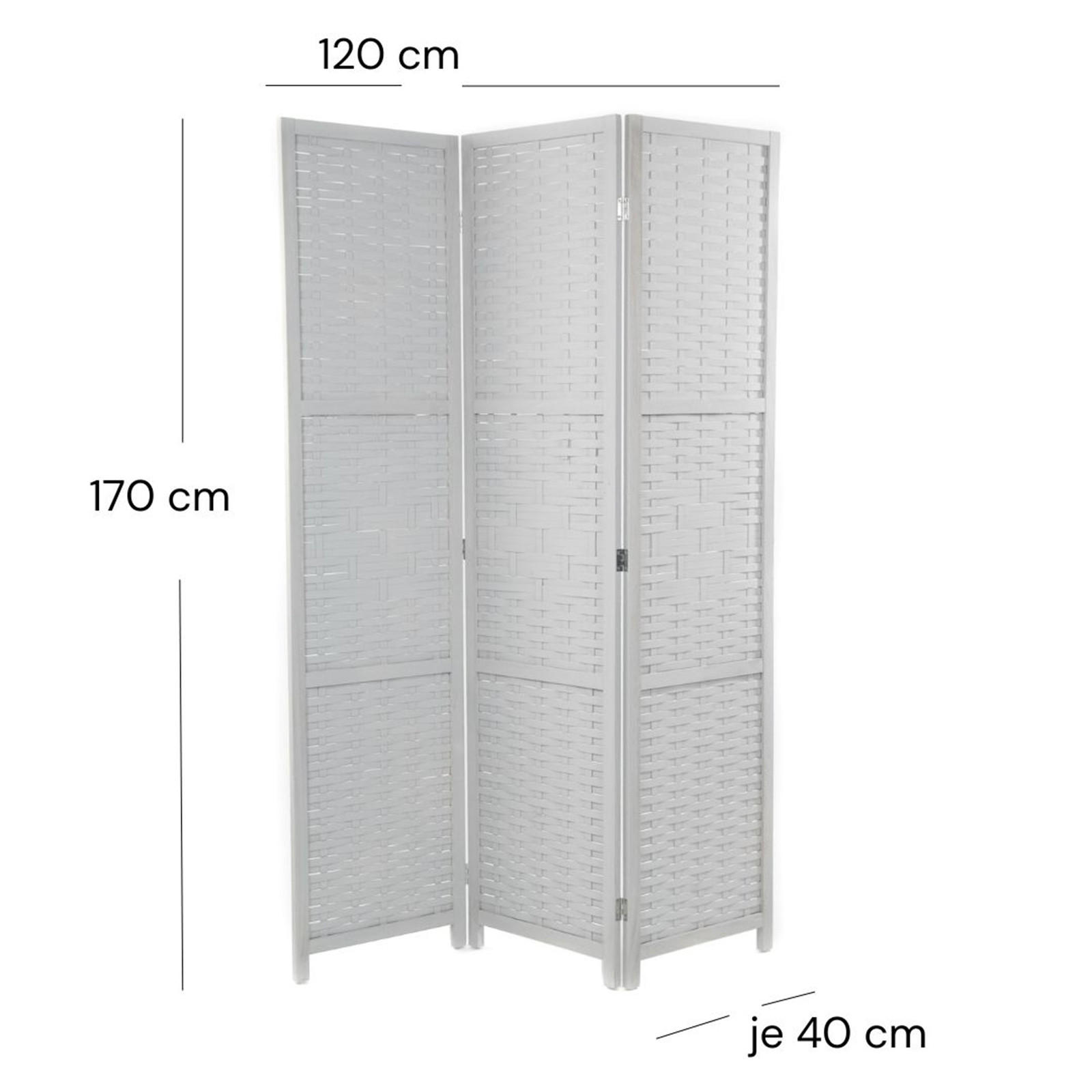 Thumbnail - Design Delights Raumteiler, Grau, Holz, 120x170x3 cm, Wohnzimmer, Raumteiler & Paravents, Paravents