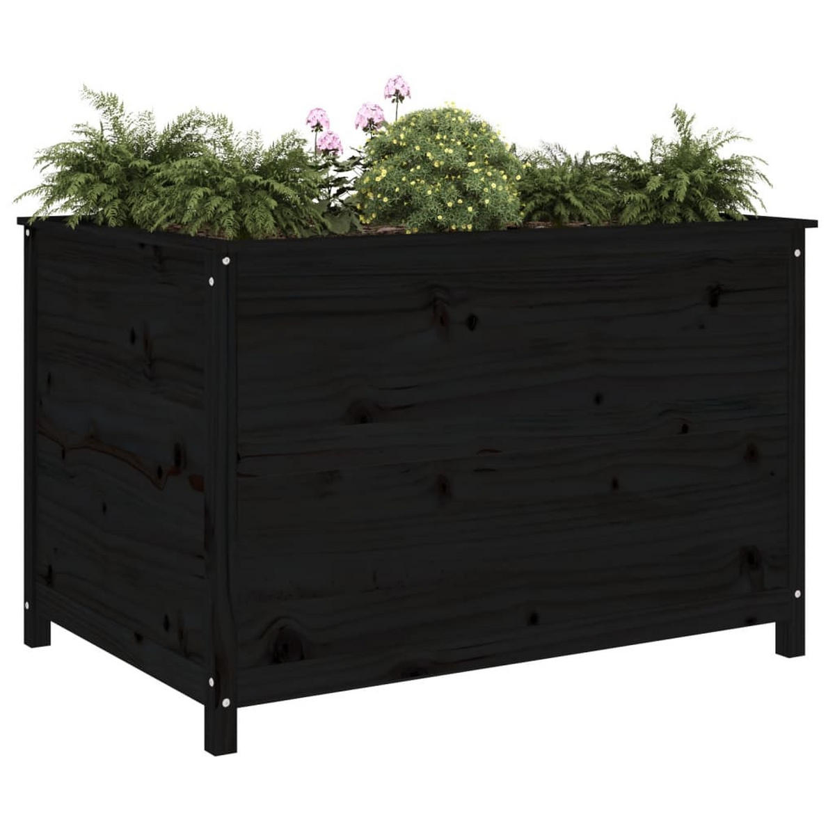HOCHBEET Schwarz 119,5x82,5x78 cm Massivholz Kiefer - Schwarz, Holz (82.5/78/119.5cm) - furnicato