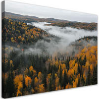 WANDBILD wald in nebel natur landschaft - Grün, Textil (60/40cm) - Feeby