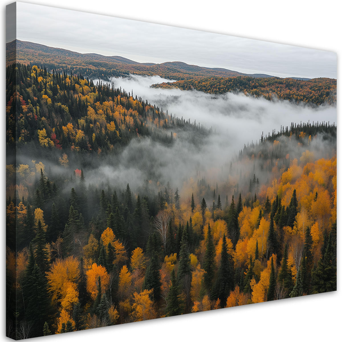 WANDBILD wald in nebel natur landschaft - Grün, Textil (60/40cm) - Feeby