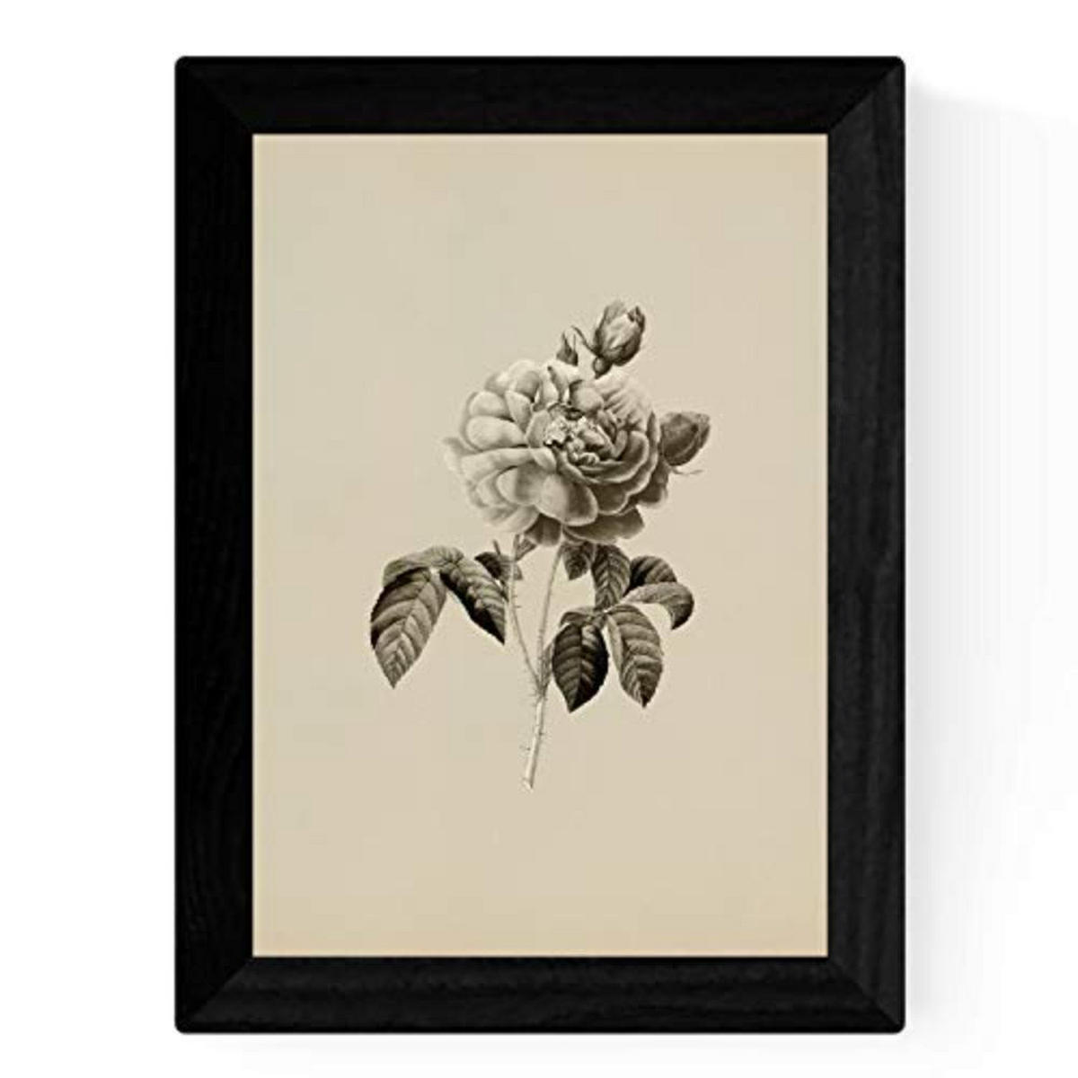 POSTER Set mit 4 Botanische Jahrgang Hintergrund Rosa Blumen A3 Rahmenlos - Klar, Papier (29.7/3cm) - Nacnic