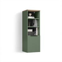 UNIVERSALSCHRANK Piave Grün mit einer Tür - Grün, Holzwerkstoff (40.2/120/40cm) - Livinity®