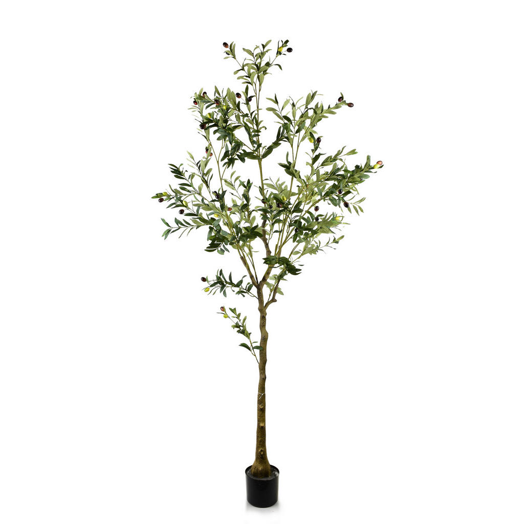 Mondex UMĚLÁ ROSTLINA, plast, green|brown