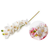 KUNSTBLUME Viridis Orchidee Weiß 74/74/74 cm Kunstoff - Weiß, Kunststoff (74cm) - Mondex