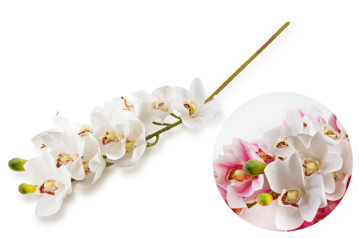 KUNSTBLUME Viridis Orchidee Weiß 74/74/74 cm Kunstoff - Weiß, Kunststoff (74cm) - Mondex