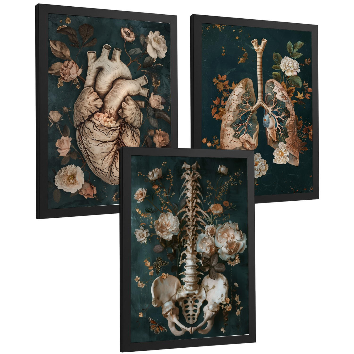 POSTER Set aus 3 Anatomie Mensch Drucke und Wandbilder mit Herz Atmungssystem und Skelett Botanischer Stil Wanddekoration Größe Schwarzer Rahmen A3 - Schwarz, Papier (29.7/42/3cm) - Nacnic