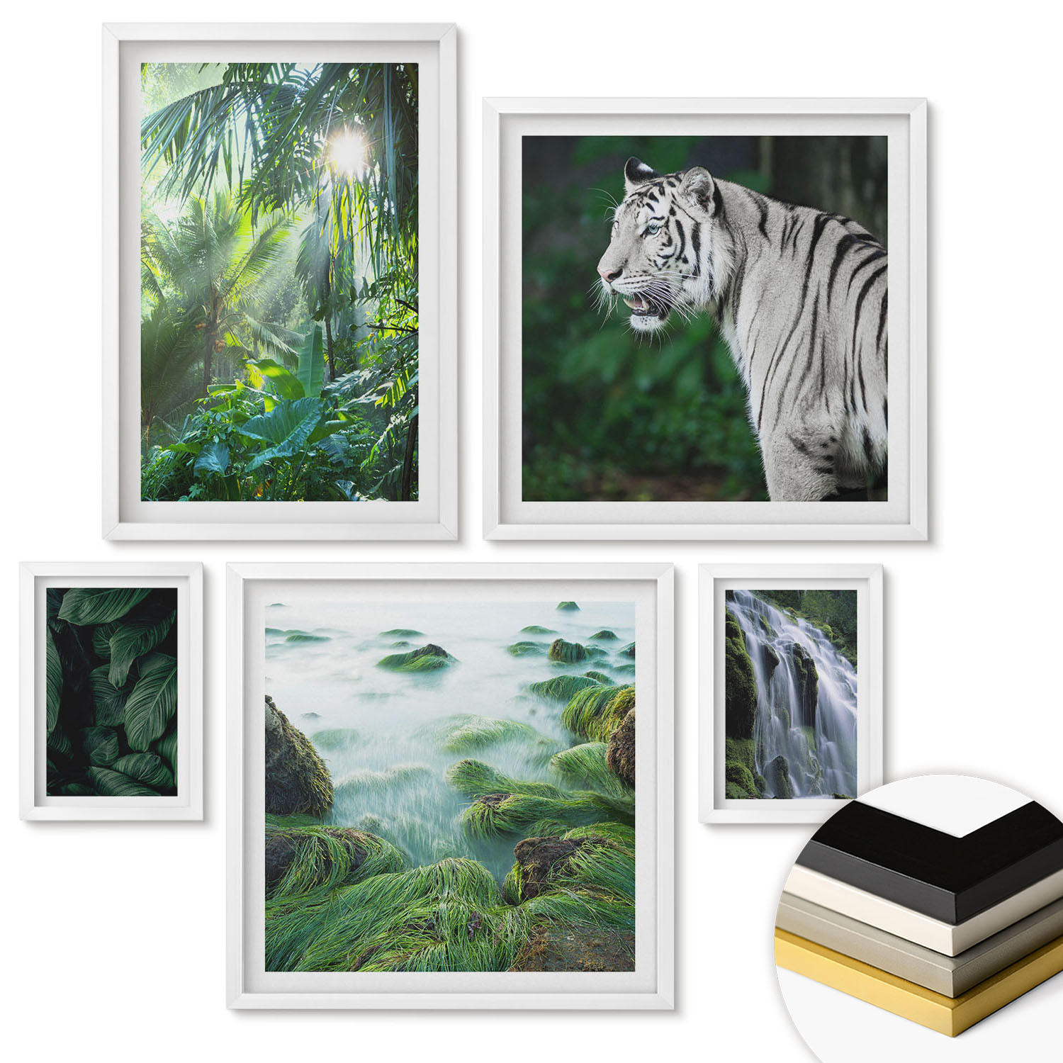 WANDBILDER 5er-Set - 50x50 cm & 20x30 cm & 40x60 cm Weißer Rahmen - Blätter und Blüten in verschiedenen Farben - Weiß, Kunststoff (40/60cm) - ArtPrintCave