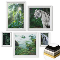 WANDBILDER 5er-Set - 50x50 cm & 20x30 cm & 40x60 cm Weißer Rahmen - Blätter und Blüten in verschiedenen Farben - Weiß, Kunststoff (40/60cm) - ArtPrintCave