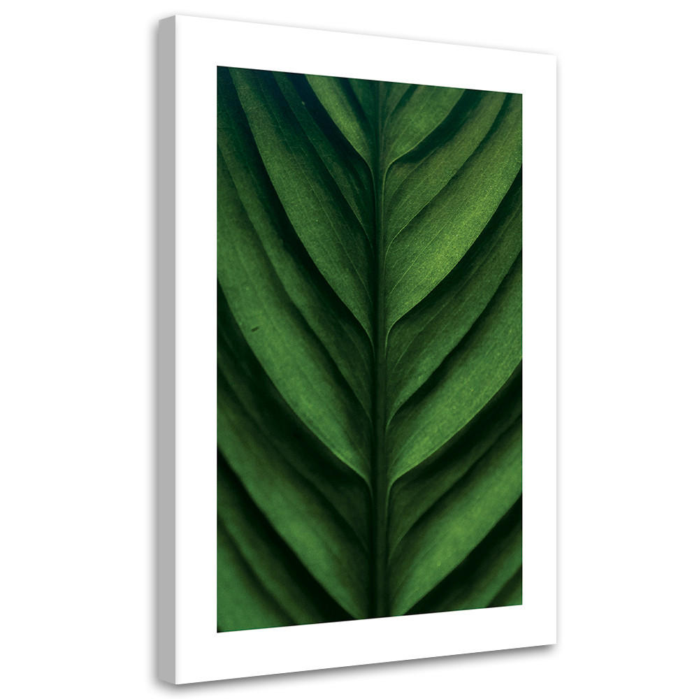 WANDBILD grünes blatt makro - Grün, Textil (40/60cm) - Feeby