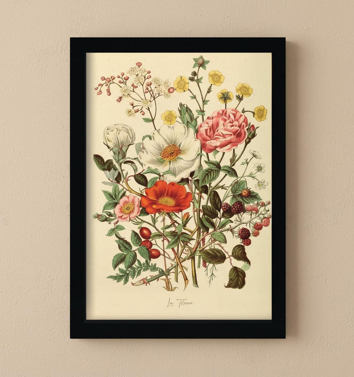 POSTER Set Mit 6 Blumenanatomie In Vintage A3 & A4 Schwarzer Rahmen - Schwarz, Papier (29/3cm) - Nacnic