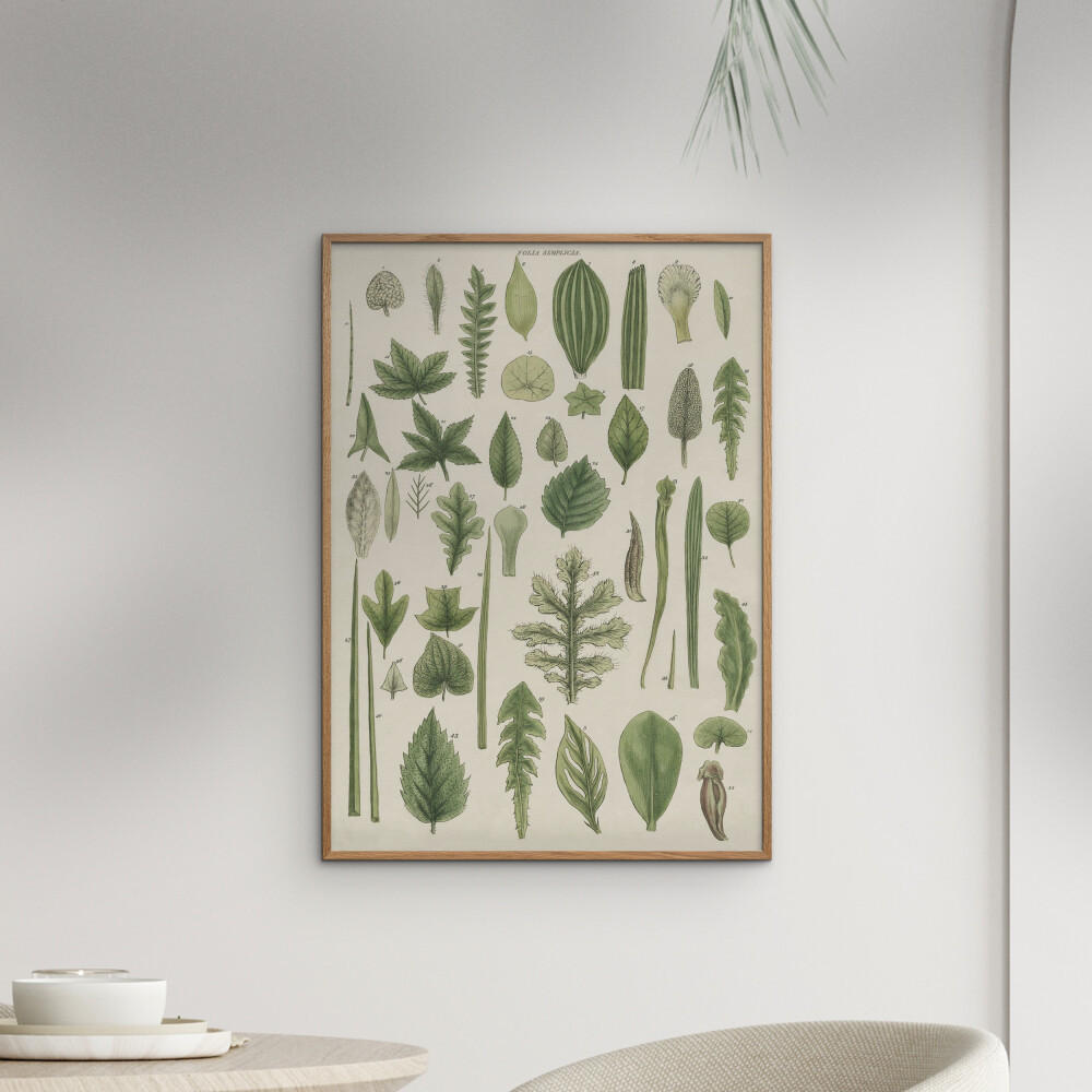 POSTER Wild Apple - Assortment of Leaves II - Grün, Papier (50/70/0.1cm) - Poster&Frame