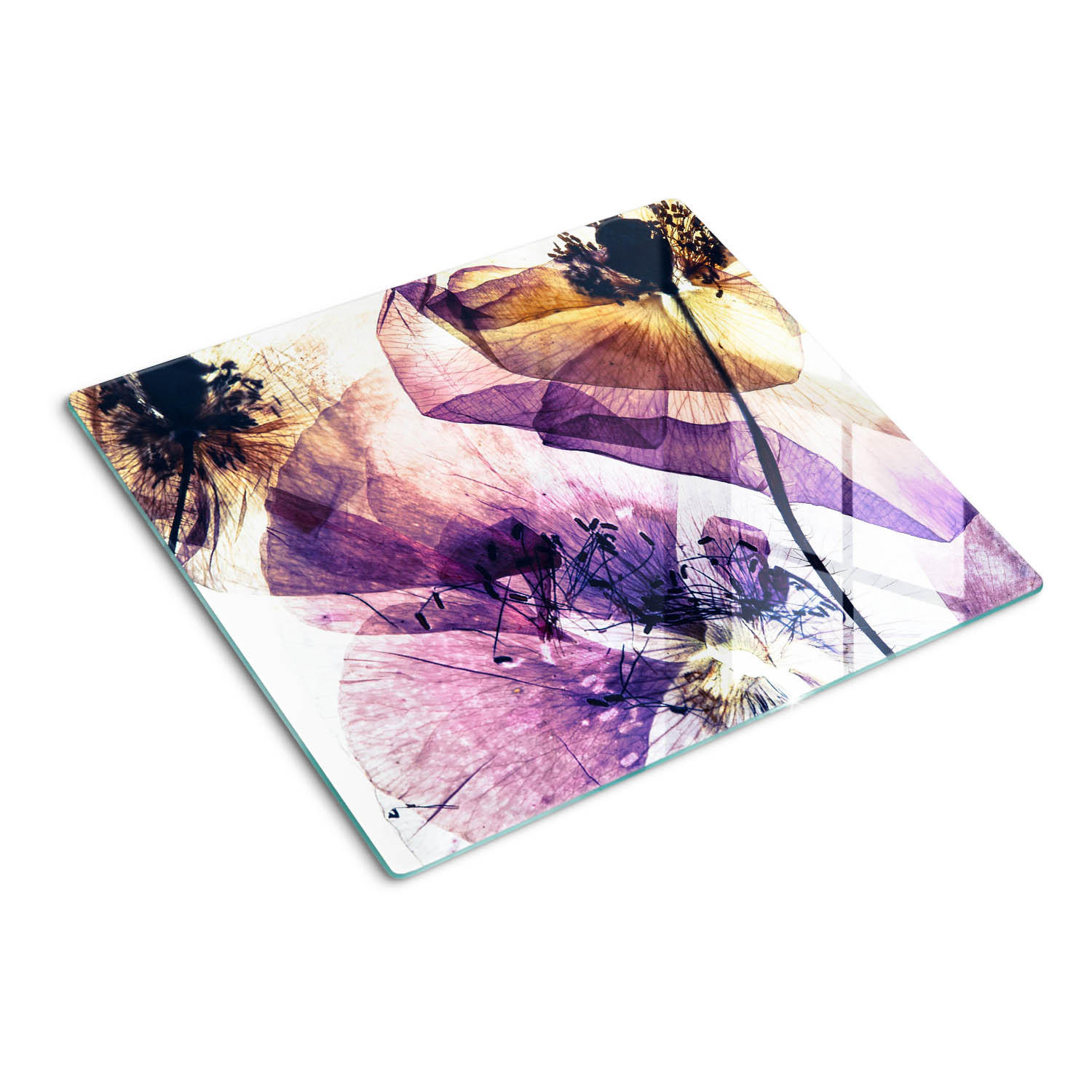 GLASPLATTE 60x52 cm Trockener Mohn - Lila, Glas (60/0.4/52cm) - TULUP