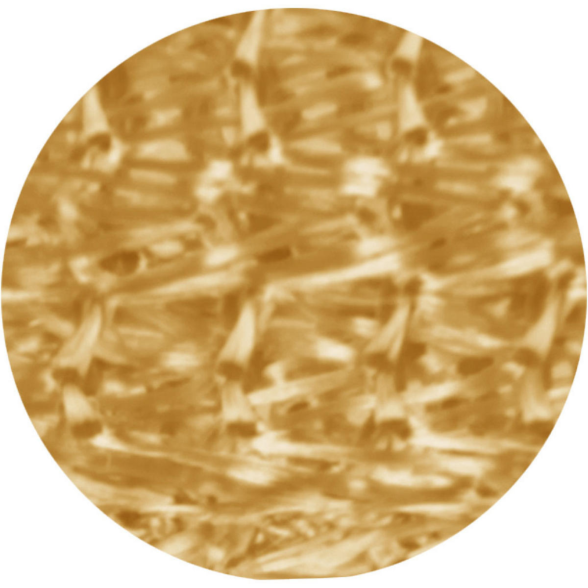 FADENVORHANG 90 cm x 240 cm Fadengardine (Gold) Ideal als Insektenschutz oder Raumteiler - Goldfarben, Textil (90/240cm) - Bestlivings