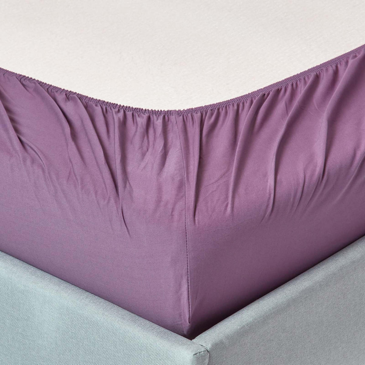 PERKAL-SPANNBETTLAKEN, Ägyptische Baumwolle, Fadendichte 200 - Lila, Textil (150/200cm) - Homescapes
