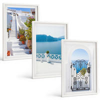 BILDER SET 3er Set - 40x60 cm Weißer Rahmen - Weiße Treppenpflanzen Seetor - Weiß, Kunststoff (40/60cm) - TULUP