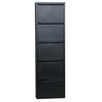 SCHUHKIPPER schwarz - Schwarz, Holzwerkstoff (50/173/16cm) - ebuy24