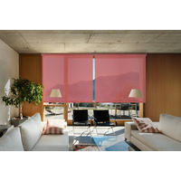 SEITENZUGROLLO Viewtex Screen 10% Öffnungsgrad - Grau, Textil (165/250/250cm) - VIEWTEX
