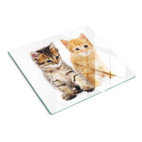 GLASPLATTE 60x52 cm Katze Tier - Cognac, Glas (60/52cm) - TULUP