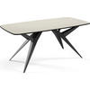 ESSTISCH Trax ausziehbar rechteckig oval, Beige Cashmere 180-260/90/76 - Kaschmir/Schwarz, Holzwerkstoff/Metall (180/90/76cm) - WFL GROUP