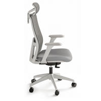 BÜROSTUHL Verstellbarer Ergonomischer SitOne Grau 4-Dimensional Armlehne, Integrierte 4-Wege-Lendenwirbelstütze - Grau, Kunststoff (60/125/68cm) - Desktronic