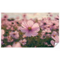 TAPETE - Blumen - Lila - Unscharf - 400x240 cm - Rosa, Papier (400/240cm) - OnlyWow