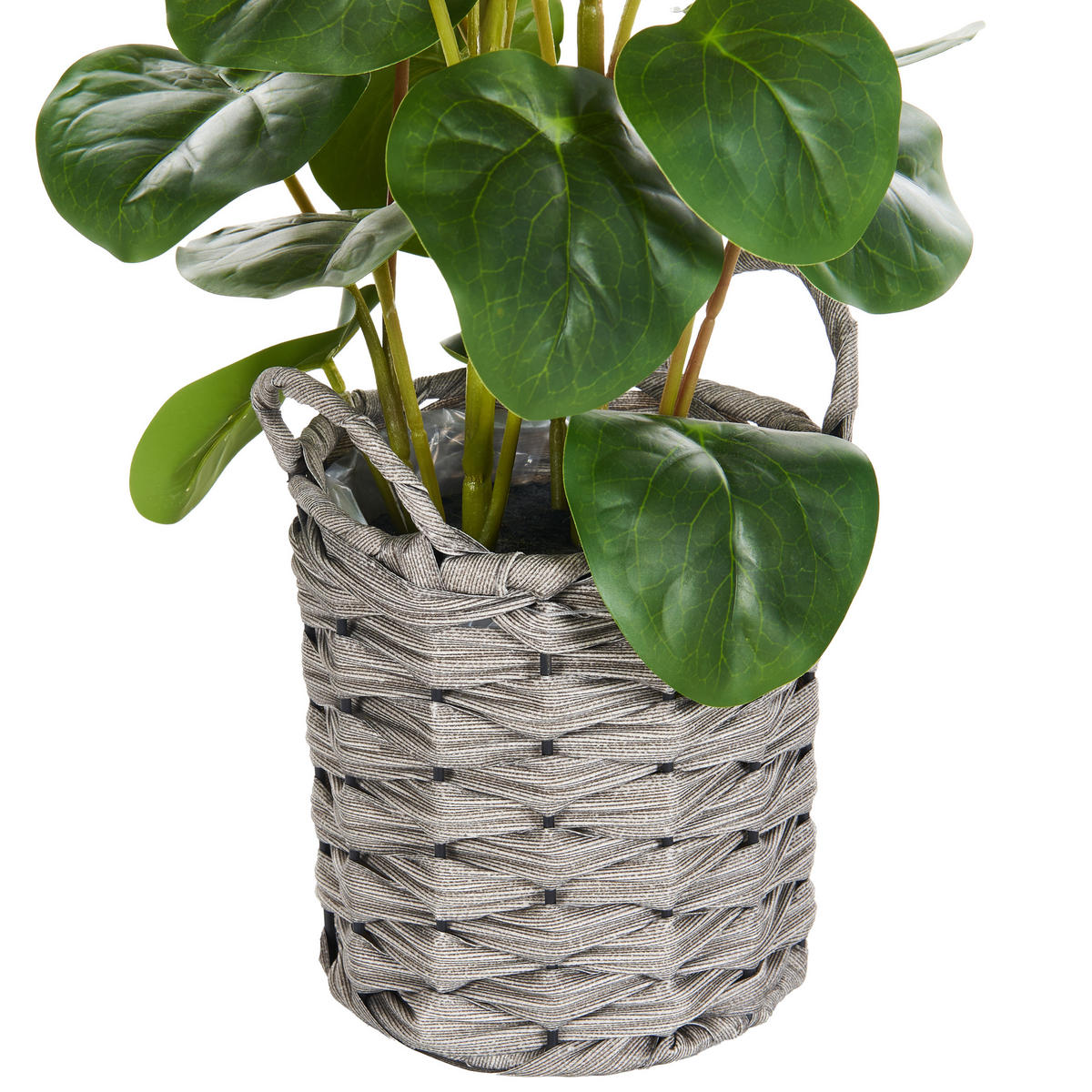 KUNSTPFLANZE im Blumentopf 55 cm Grün/Schwarz Kibeti - Schwarz/Grün, Kunststoff (55cm) - Beliani