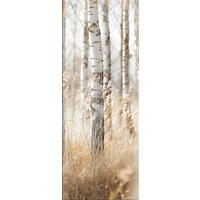 GLASBILD 30x80 cm Wald beige weiß - Beige, Glas (30/80cm) - artissimo