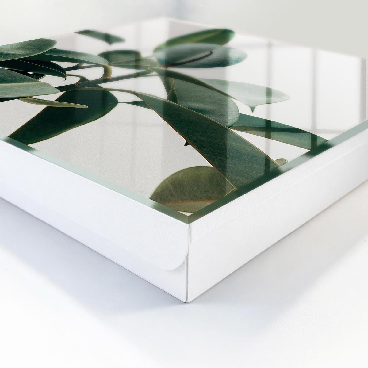 SCHLÜSSELBOX Weiß 30x30 cm – Türöffnung nach rechts - Ficusblätter - Grün, Metall (30/30/5cm) - TULUP