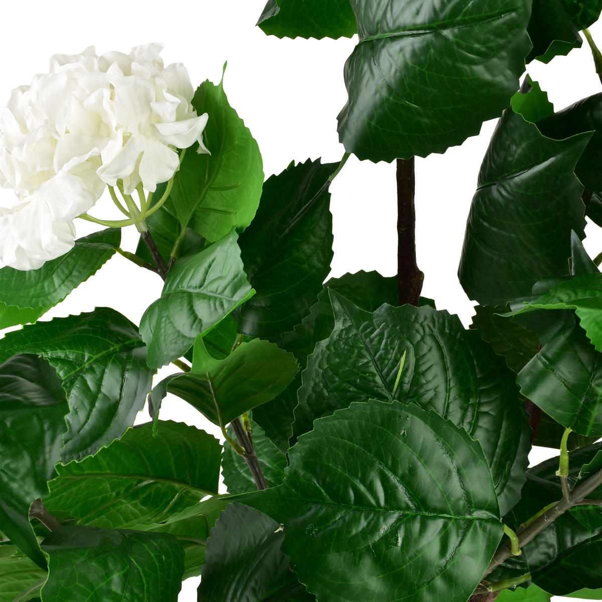 KUNSTBLUME Viridis Creme 1,5x8,5x51 cm Kunststoff - Creme, Kunststoff (51cm) - Mondex