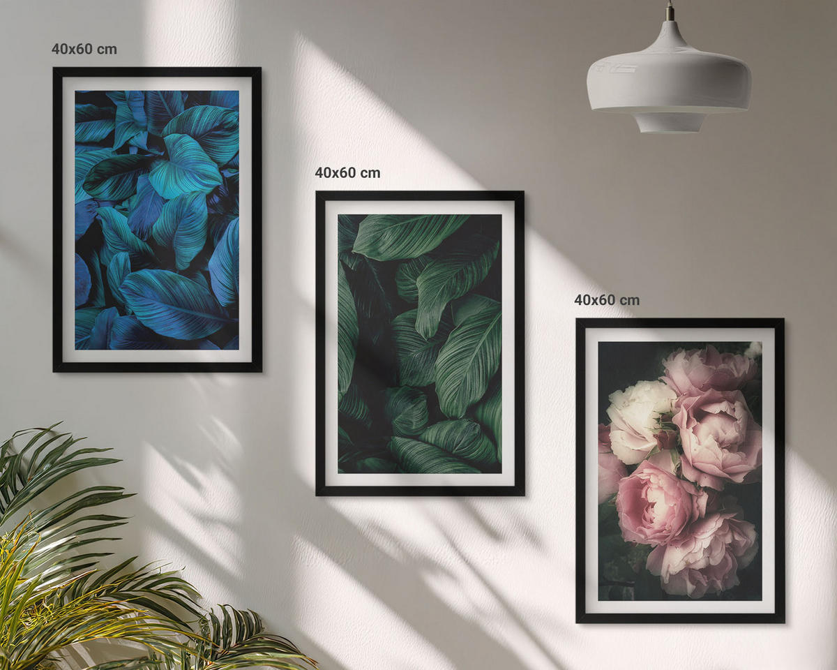 WANDBILDER 3er-Set - 40x60 cm Schwarzer Rahmen - Blätter, Blüten, verschiedene Farben - Schwarz, Kunststoff (40/60cm) - ArtPrintCave