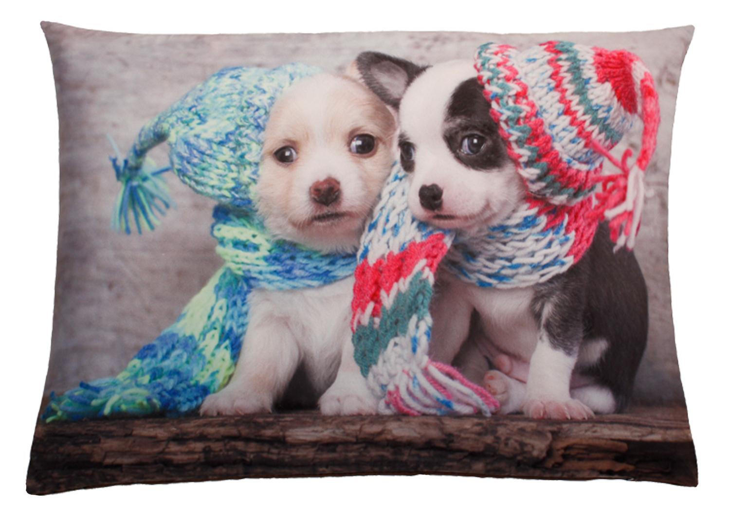 KISSENBEZUG Fotodruck 40x60 cm Kuschel Hund - Multicolor, Textil (40/60cm) - TiborTex