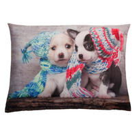 KISSENBEZUG Fotodruck 40x60 cm Kuschel Hund - Multicolor, Textil (40/60cm) - TiborTex
