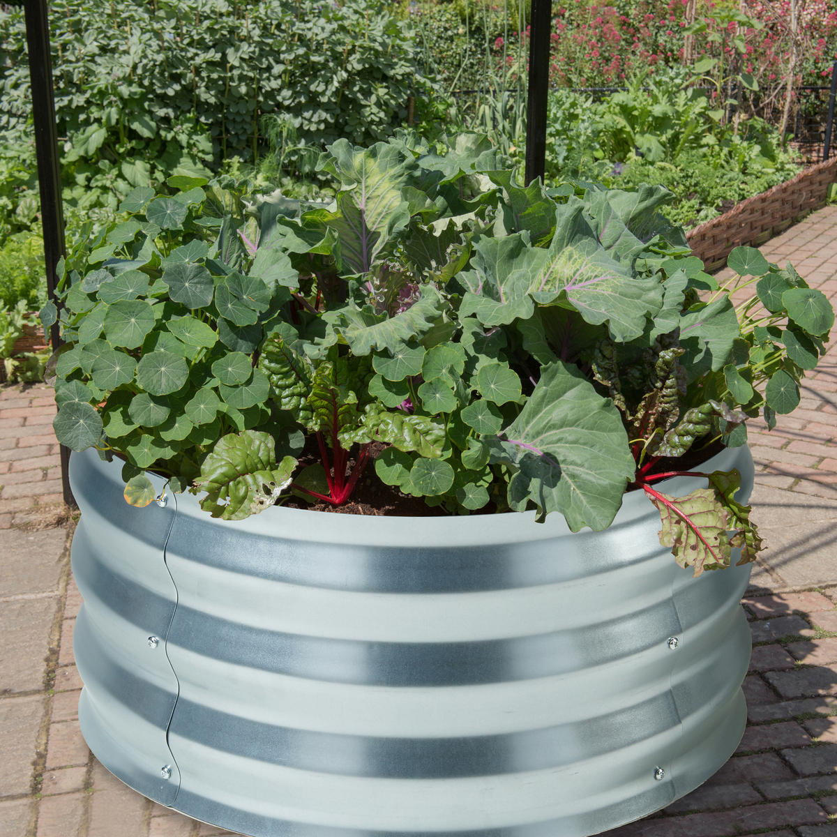 PFLANZBEET Andrano - Silberfarben, Metall (61/30.5/61cm) - casa.pro